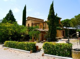 Одна з виноробень Пенедесу