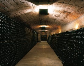 Кава — знамените каталонське ігристе вино