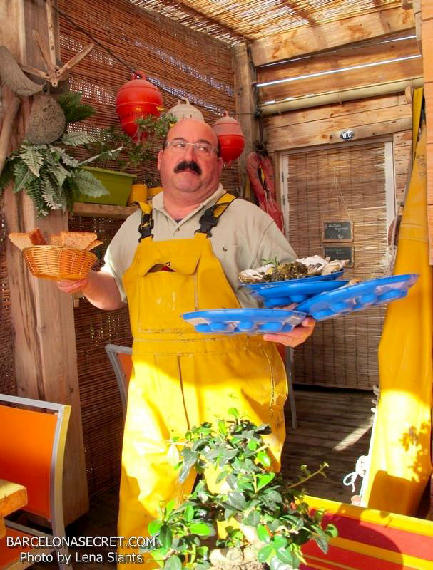 Устричні ферми у Франції