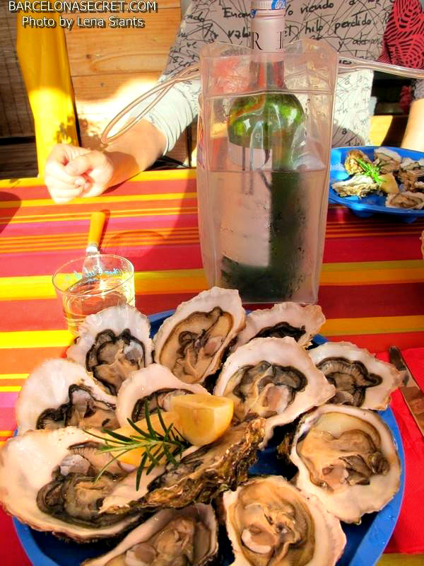 Устричні ферми у Франції